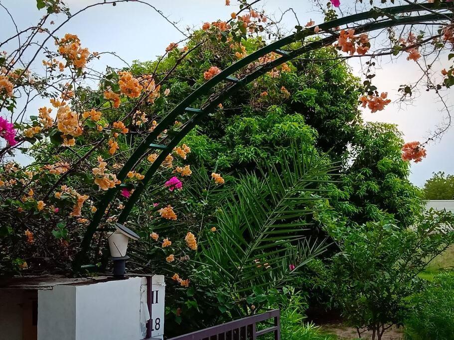 Mamta'S Home- Kensville Nānodra 외부 사진